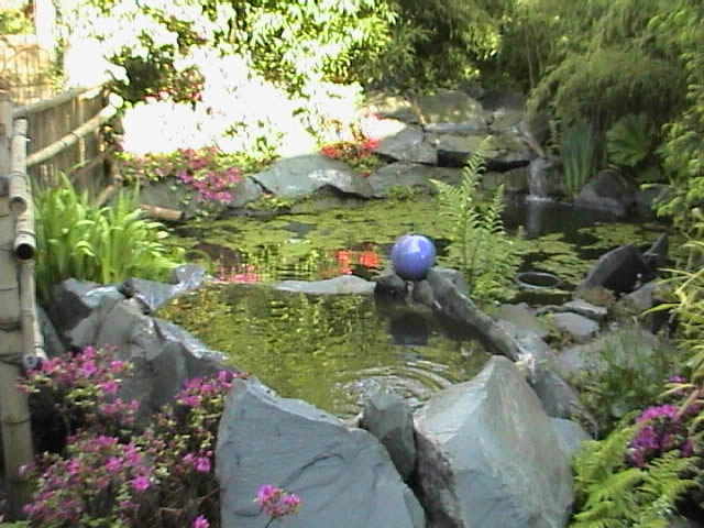 garden pond design in bolton