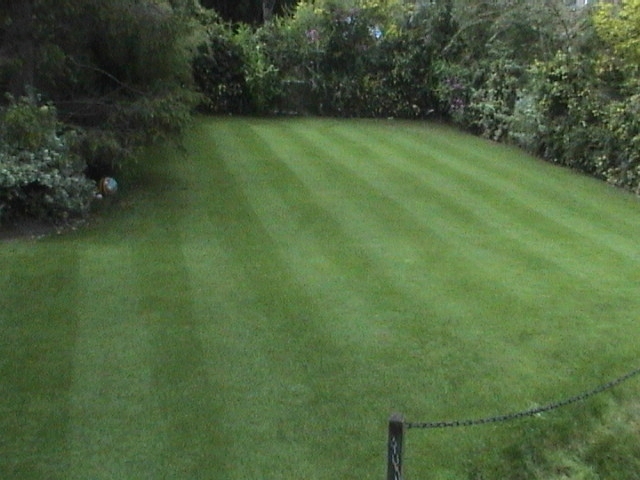 Example of the finest quality lawn constructed and maintained by our experts
